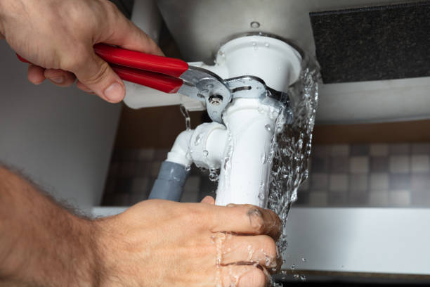 Best Water damage cleanup near me  in Auburn, NY