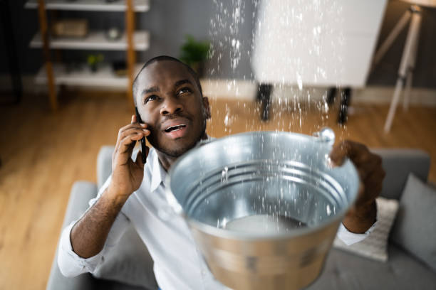 Best Water damage restoration near me  in Auburn, NY