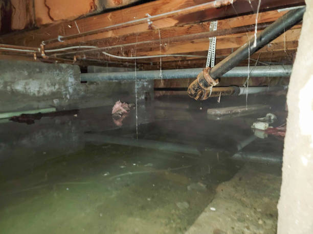 Best Local water damage restoration  in Auburn, NY
