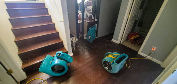 Best Flood damage cleanup  in Auburn, NY