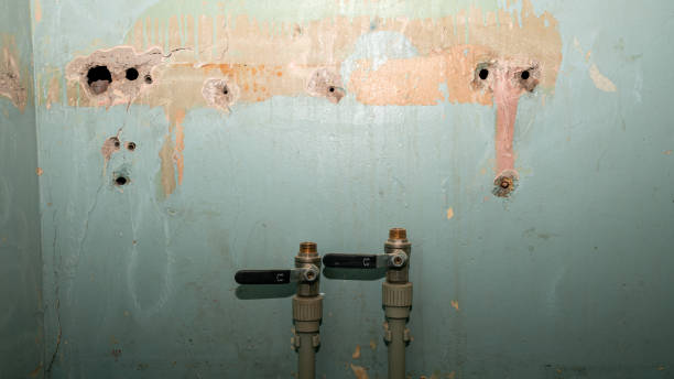 Best Sewage cleanup and water damage restoration  in Auburn, NY