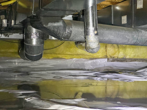 Best Basement water damage restoration  in Auburn, NY