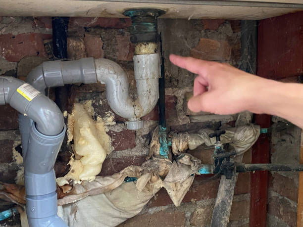 Best Flooded house restoration  in Auburn, NY