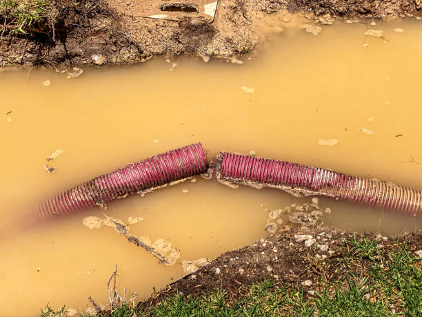 Best Water damage restoration mold remediation  in Auburn, NY
