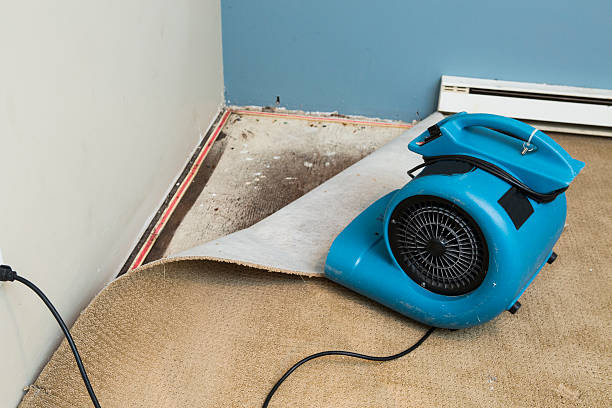 Sewage cleanup and water damage restoration in NY